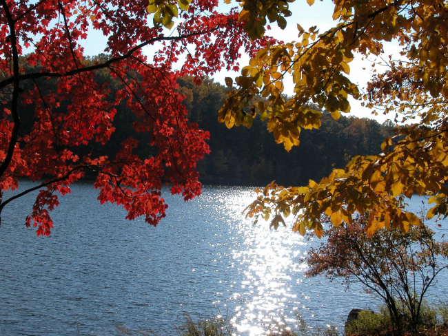 Sun glint and fall colors on Clopper Lake