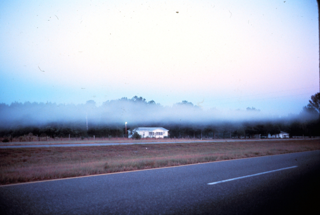 Early morning radiation fog