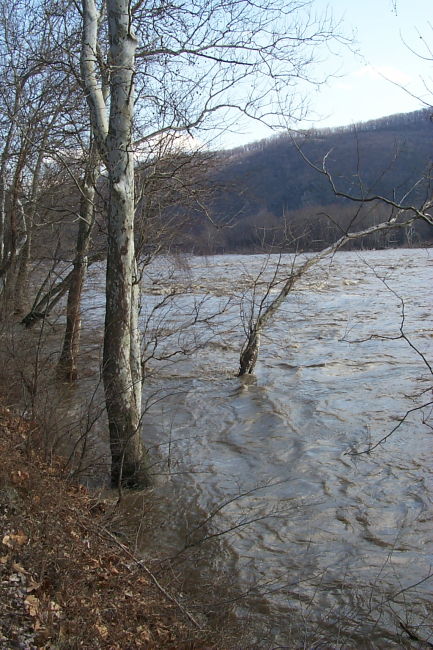 Potomac River overflowing its banks near Harpers Ferry