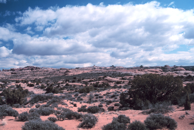 Colorado Plateau cumulus