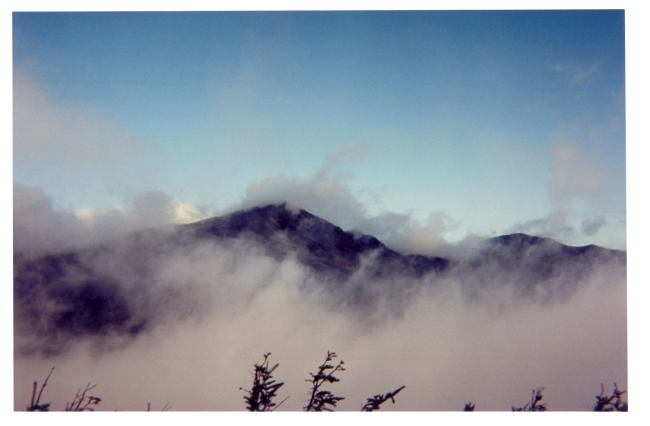 Fog shrouding the White Mountains