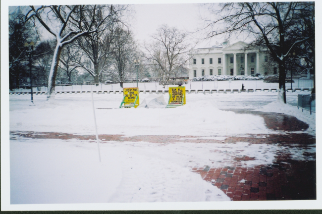 The White House draped in newly fallen snow and a couple of protest signs