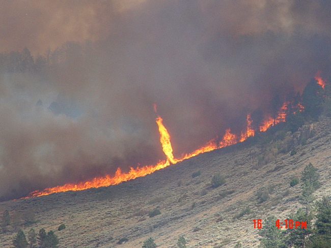 During an afternoon of extreme fire behavior, a firewhirl is observedalong the flaming front