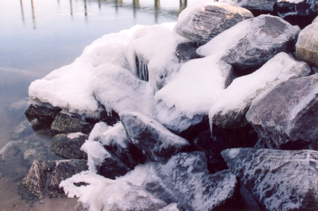 Icy rock revetment along the Patuxent River