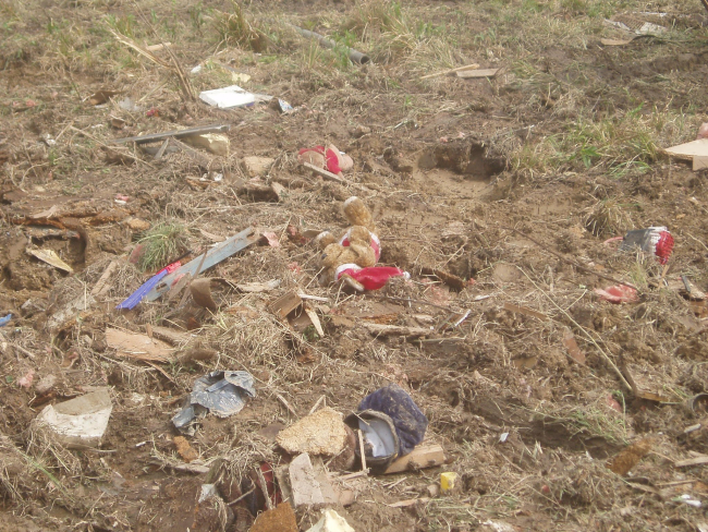 A poignant image of a child's stuffed animals strewn in a field by atornado