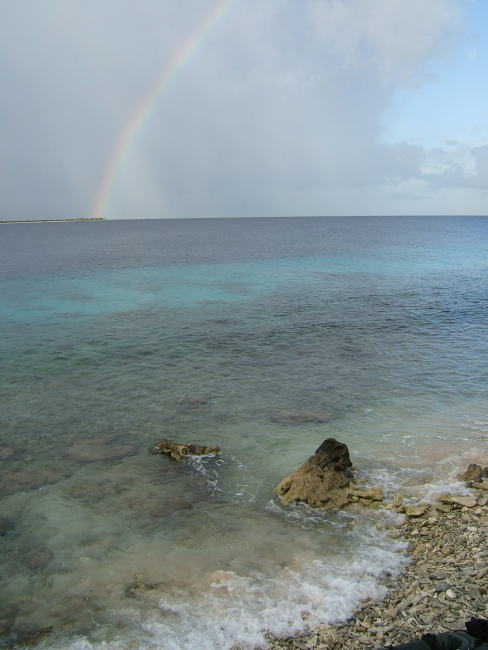 A tropical rainshower leaves a pot of pirate's gold at the end of the rainbow