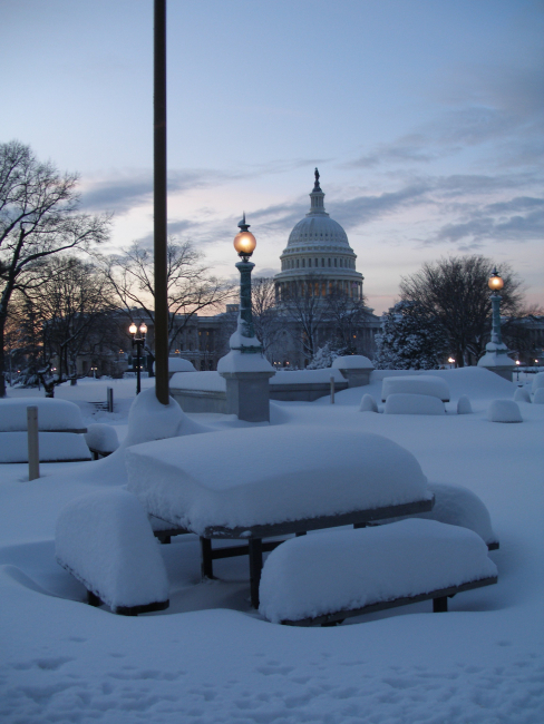 Picnic tables waiting for spring with the Capitol Building seen behind