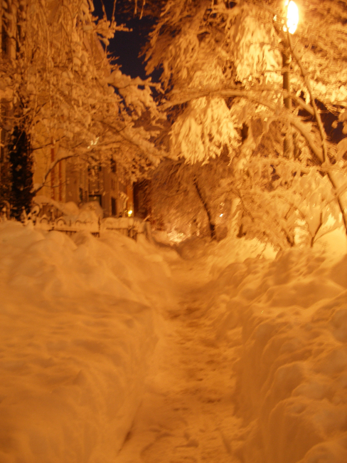 Night lights on snow during second major snowstorm of 2009/2010 season