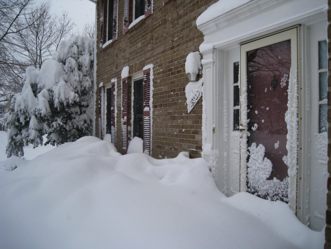 Useless front door while holly-bush prostated by weight of snow