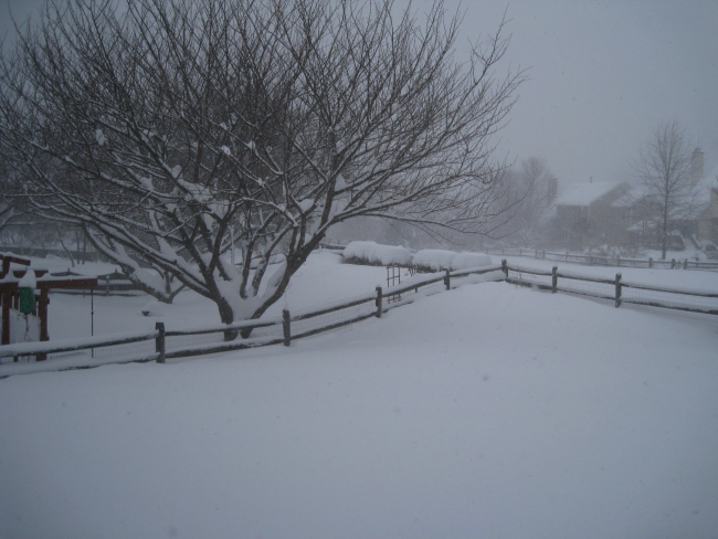 The third great storm of the winter of 2009/2010