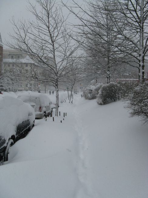 Path of those who braved the snow to trudge along the streets and sidewalks ofWashington, D