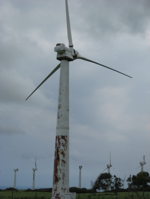 A windmill at the Kohala wind generating farm at the NW tip of Hawaii