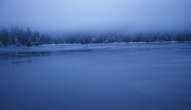 A winter scene in SE Alaska