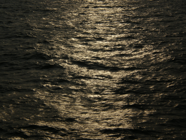 Sunglint reflecting off the rough windblown surface of  the ocean