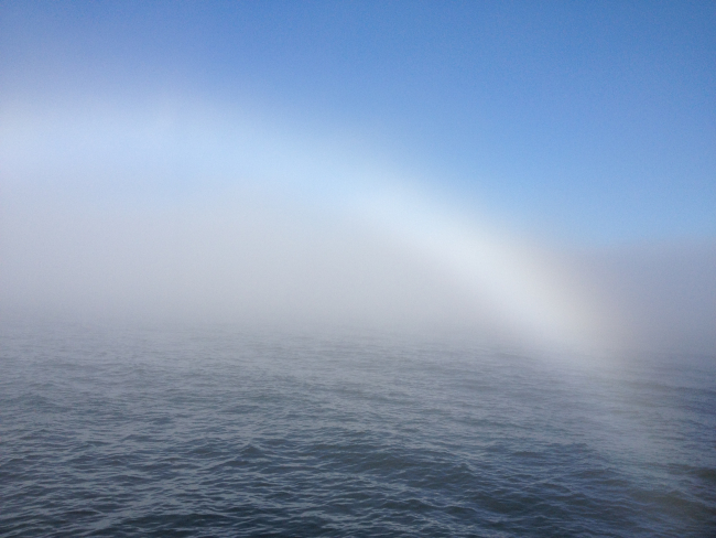 Fog bow in the Gulf of Alaska