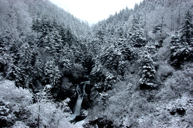 Snow, frost, and a merry waterfall cascading down a mountain valley