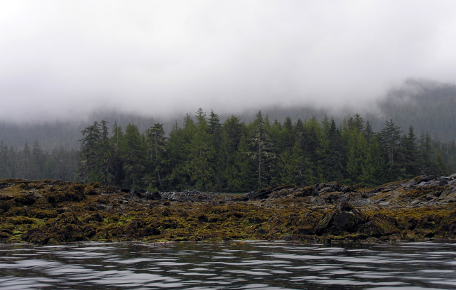 Low clouds and low tide on an Alaskan shoreline