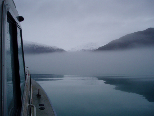 Streamers of fog fill valleys and parallel cliffs along the shore in Glacier Bay