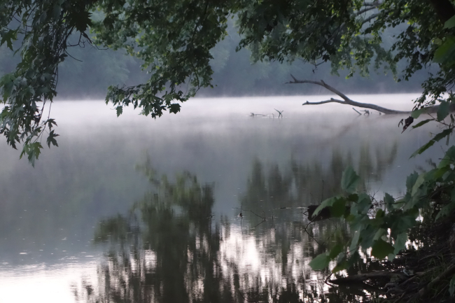 Misty morning and reflections on the Potomac River