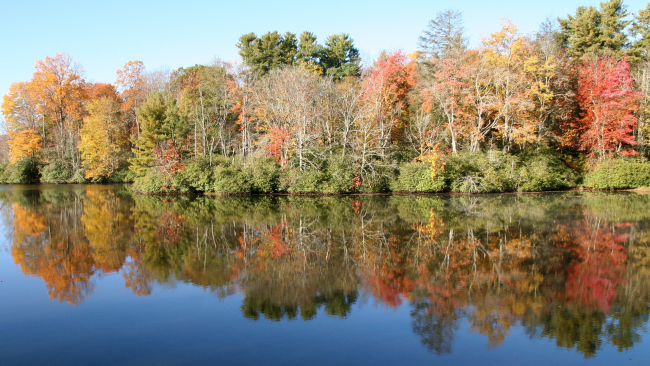 Autumn colors reflecting off a placid lake