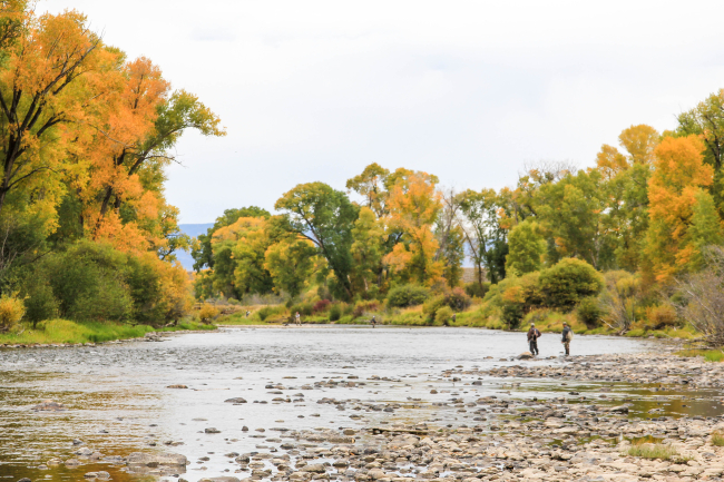 Autumn colors along a Colorado river