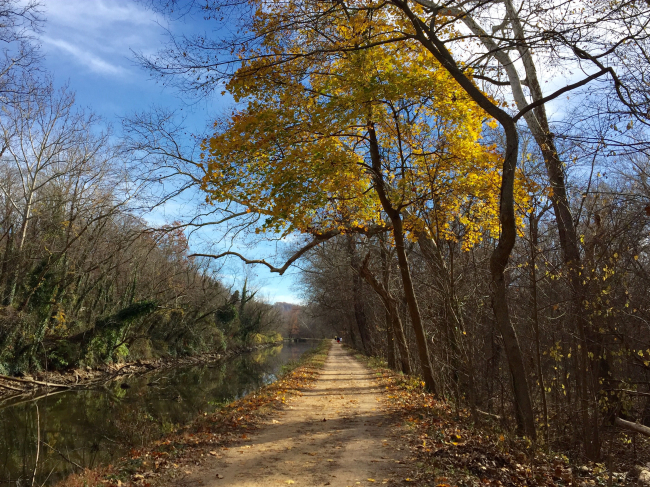 Autumn colors along the Chesapeake and Ohio Canal
