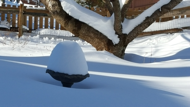 A bird bath that the birds wouldn't be using for awhile following Snowzilla