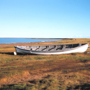 An abandoned whale boat from years before