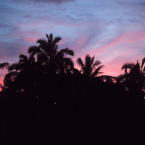 A Hilo sunset