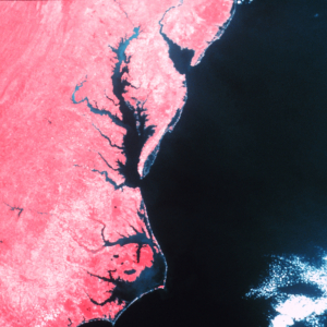 Cape Hatteras, Chesapeake Bay, and Delaware Bay as observed from a NOAAsatellite with an infra-red sensor