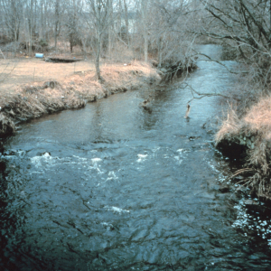 A view of Mussachuck Creek, the creek runs east to west