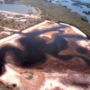 This image at Cockroach Bay shows the area to be planted in the upper left handof the image