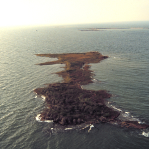 An aerial of Northpoint Island, part of the Poplar Island complex