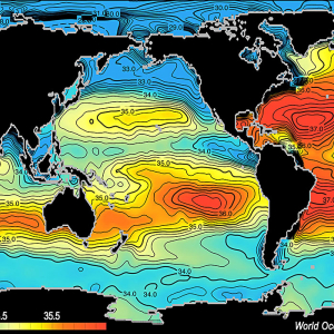Average ocean salinity.