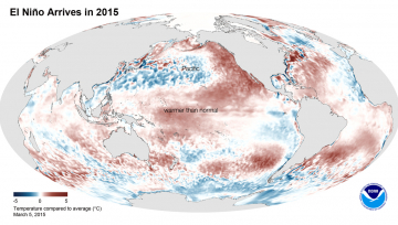 El Niño Arrives in 2015. This image shows the average sea surface temperature for February 2015 as measured by NOAA satellites. The large area of red (warmer than average) can be seen extending through the equatorial Pacific.