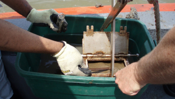 Developing proposals for environmental observations and long term studies in the Gulf of Mexico is one of the areas the NOAA RESTORE Act is focusing on in this first grant competition. Here, NOAA Mussell Watch scientists use a Van Veen grab, a lightweight sampler designed to take large samples in soft bottoms, to collect sediments for analysis. 