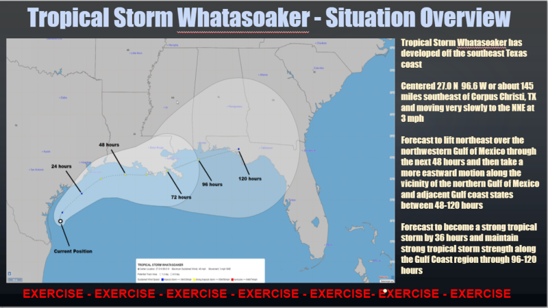Tropical Storm Whatasoaker - Overview