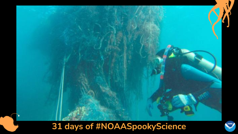 A net floating and tangled up in the ocean weighs close to 1.5 tons. Border of the photo is black with orange sea creature graphics of octopus tentacles and an anglerfish. Text: 31 days of #NOAASpookyScience