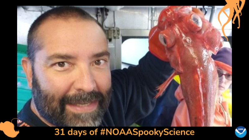 Phil Moorhouse holds up a red Vermilion rockfish with bulging white eyes. Border of the photo is black with orange sea creature graphics of octopus tentacles and an anglerfish. Text: 31 days of #NOAASpookyScience