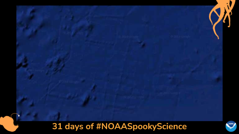 The lines seen here show the paths taken by ships using sonar to map small sections of the ocean floor in greater detail. Border of the photo is black with orange sea creature graphics of octopus tentacles and an anglerfish. Text: 31 days of #NOAASpookyScience