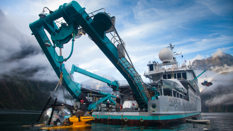 The OceanX Alucia is a research and exploration vessel. Approximately 183’ long, she boasts the latest in technical diving, filming and scientific research equipment including two deep-dive submarines.