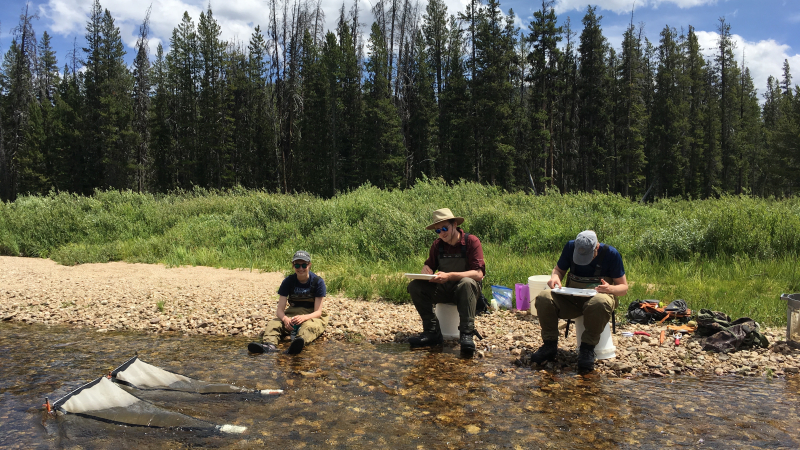 Interns Frances Duncan and Frances Kretschmer from Smith College and Jimmy Looper from Washington College conduct field research on salmon in the Salmon River Basin in Idaho during the summer of 2019.