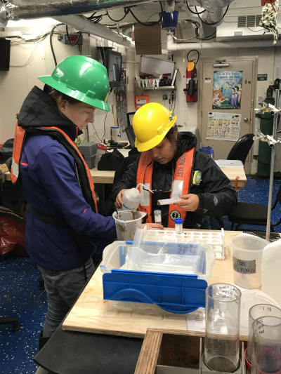 Mary Rider (left, NCCOS contractor) and Wanda Ortiz Báez (right, graduate student, University of Puerto Rico at Mayagüez) transfer sediment from a core sample into a vial. The sediment is processed to separate the algal cysts from the mud and other particles so the cysts can be counted.