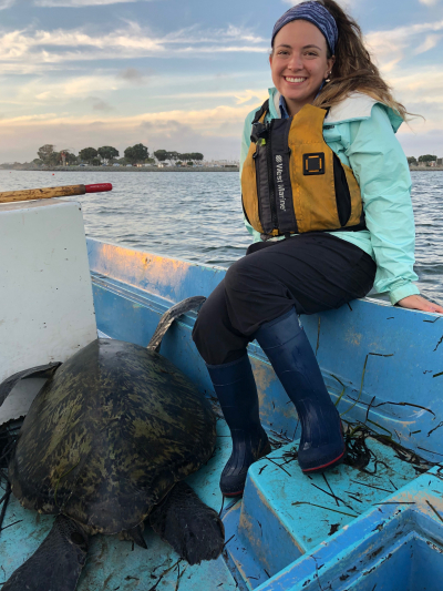 During evening fieldwork, Lily Olmo, a 2018 NOAA Hollings scholar, participated in a mark-recapture study to better understand the green sea turtle population in San Diego Bay. After bringing the turtles onboard the boat, they were able to record important data to contribute to a long-term data set which began in the 1970s. Research conducted under NOAA Permit #1591.