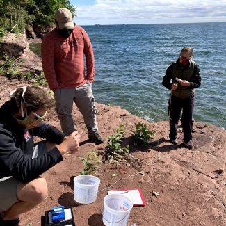 Three teachers are together to carry out water quality tests. Lake Superior is visible in the background. 