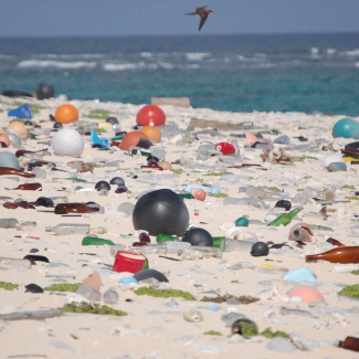 ocean dumping causes