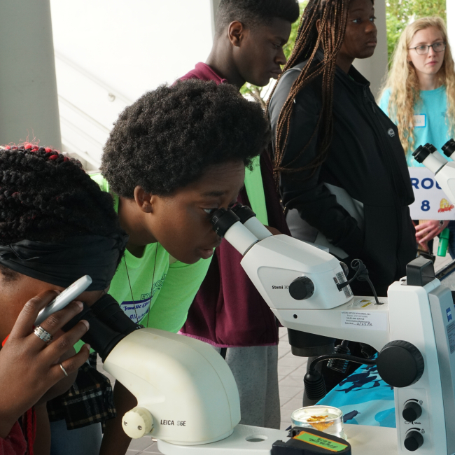 Five students participating in the program, two of them looking into microscopes and the other three looking ahead. There is four microscopes on the table in front of them and a small tank of water with what appears to be a small organism.