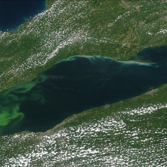 Image of a harmful algal bloom in Lake Erie as seen from the NOAA/NASA Suomi-NPP satellite on August 16, 2015. The Ocean Color Instrument on GeoXO will overcome the limitations of low-Earth orbiting satellites whose observations are often affected by cloud cover and sunglint.