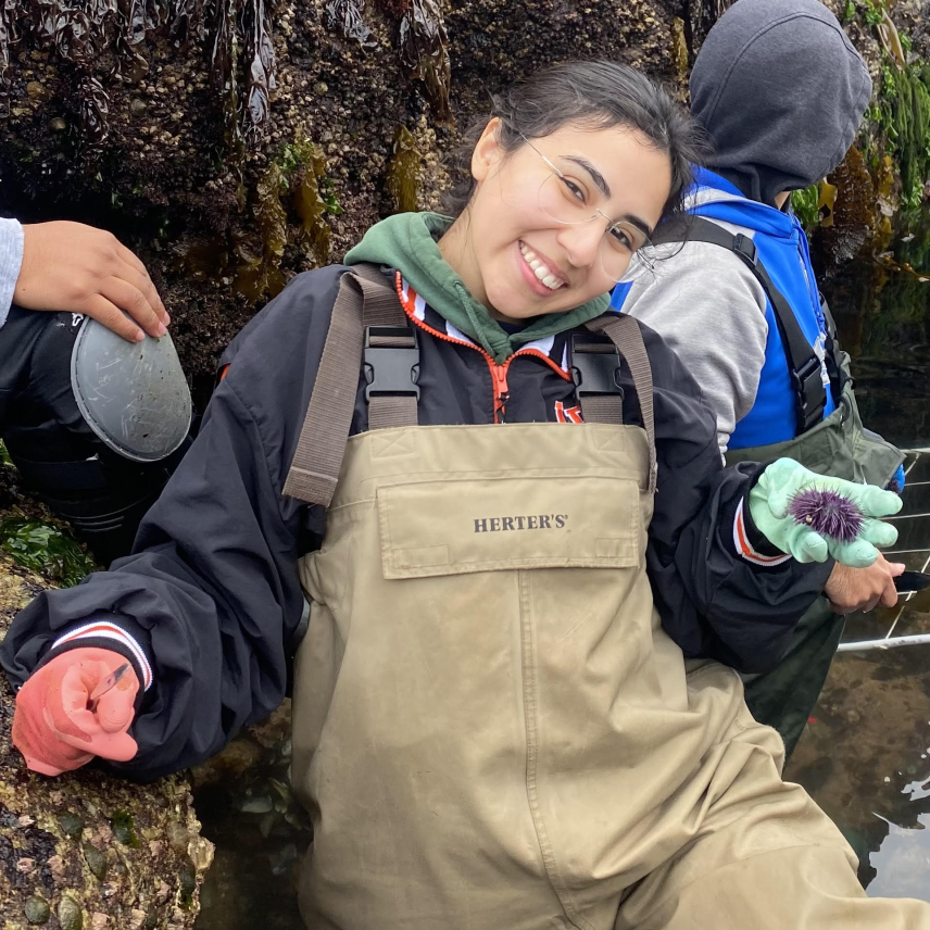 Sofia smiles and holds a purple sea urchin in the palm of a gloved hand. She is wearing waders over a hoodie and jacket, and stands knee deep in water. She is also wearing knee pads, one of which protects her knee, which is resting on one of the large rough rocks that surround the intertidal area.